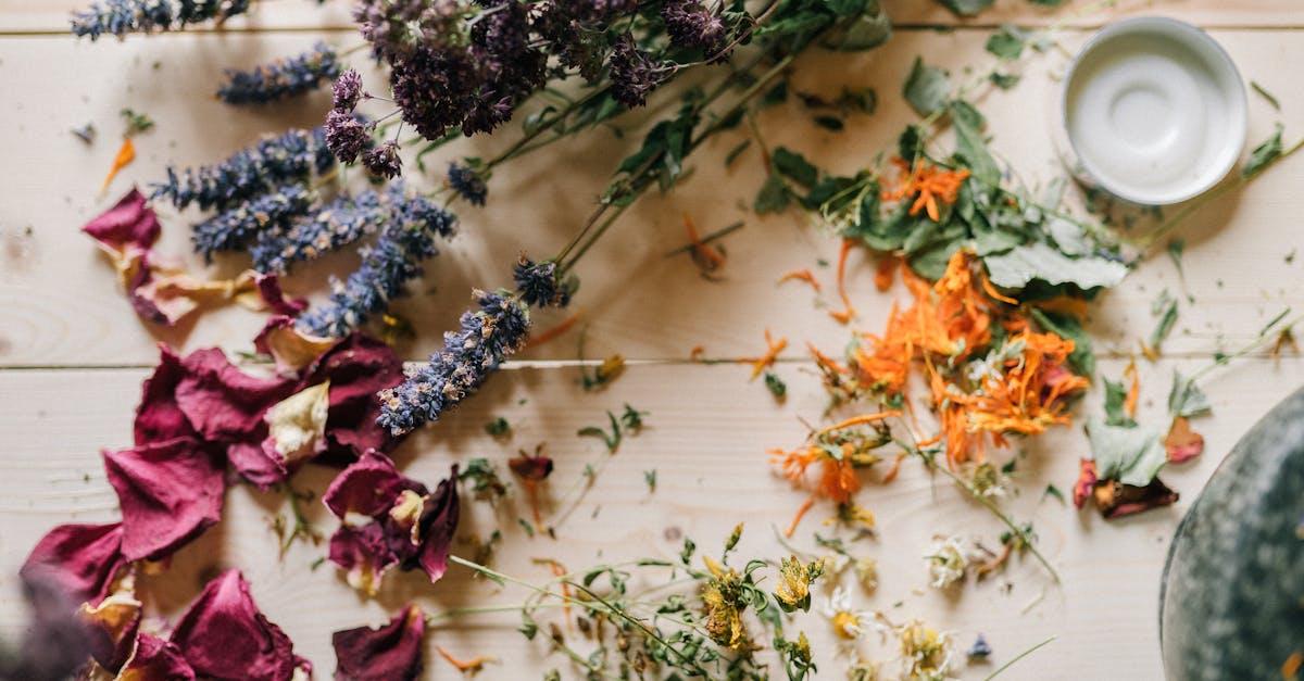 découvrez nos délicieuses soupes détox qui purifient votre corps tout en éveillant vos papilles. idéales pour une cure santé, ces recettes riches en légumes et nutriments vous aideront à retrouver énergie et bien-être. savourez la légèreté et la fraîcheur avec chaque cuillerée!