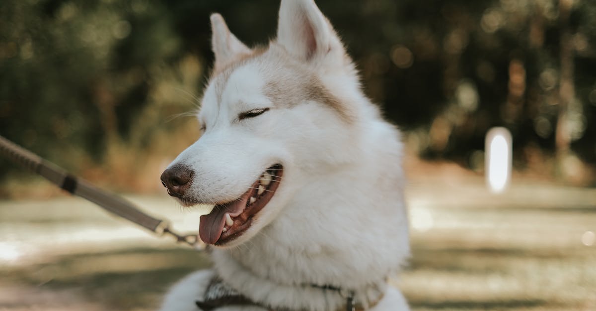 découvrez notre large sélection de produits uniques et tendance sur 'name'. profitez d'une expérience d'achat en ligne facile et rapide, avec des conseils d'experts et un service client irréprochable. explorez maintenant!